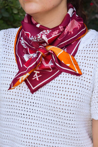 Austin v. College Station House Divided Saturday Scarf™